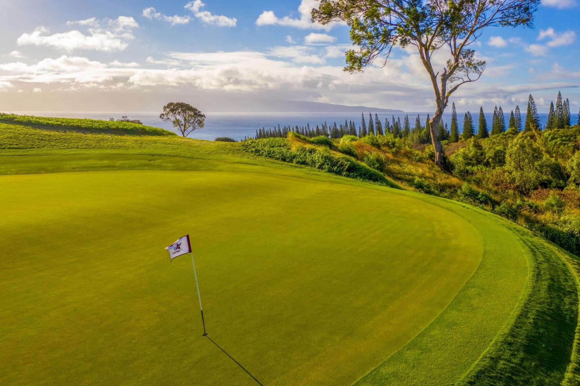 The Ritz-Carlton Maui, Kapalua Hotell Lahaina Exteriör bild